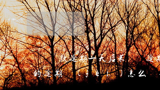 閃銀貸款逾期一天后果(閃銀逾期一年了,高額的逾期費(fèi)怎么處理)