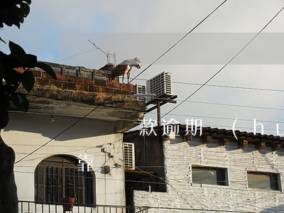 閃銀貸款逾期會(huì)怎樣(閃銀貸款可靠嗎)
