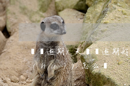 閃銀逾期1天 閃銀逾期好幾個(gè)月會(huì)怎么樣