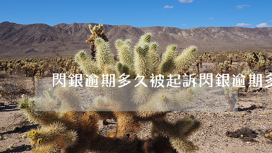 閃銀逾期多久被起訴(閃銀逾期多久被起訴)