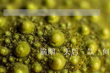 閃銀逾期幾天后還款，為何仍無法借款？