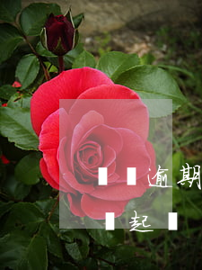 閃銀逾期會被起訴么6(閃銀欠款兩年多會不會起訴)