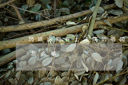 閃銀逾期有上法院的嗎 閃銀逾期好幾個月會怎么樣