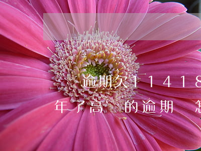 閃銀逾期欠11418.98元(閃銀逾期一年了,高額的逾期費怎么處理)