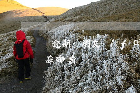 閃銀逾期給朋友發(fā)信息（閃銀逾期名單在哪看）