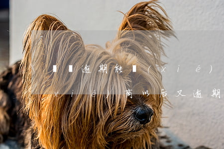 閃銀逾期能協(xié)商還款嗎(銀行協(xié)商以后又逾期)