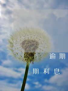 閃銀逾期還款計(jì)算公式(銀行貸款逾期利息計(jì)算公式)