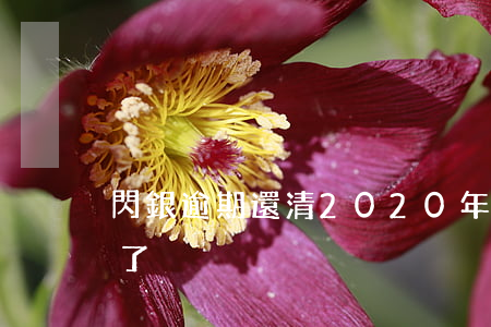 閃銀逾期還清(2020年閃銀逾期半個多月了)