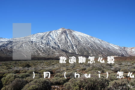 閃銀還款逾期怎么算(閃銀逾期好幾個(gè)月會(huì)怎么樣)