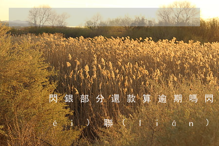 閃銀部分還款算逾期嗎(閃銀逾期一年沒(méi)聯(lián)系)