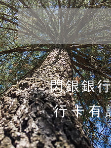 閃銀銀行卡有誤分期成功要還款嗎-閃銀銀行卡有誤分期成功要還款嗎怎么辦