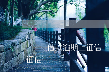閃電俠借款逾期上征信嗎(閃電借款逾期會上征信嗎)