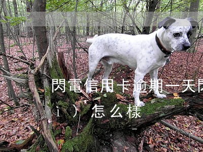 閃電信用卡逾期一天(閃貸逾期一天會(huì)怎么樣)