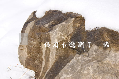 閃電信用卡逾期了嗎(快閃卡貸逾期)