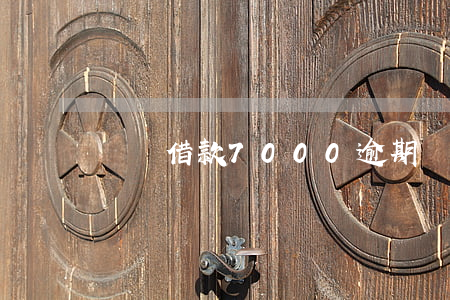 閃電借款7000逾期(閃電借款逃廢債名單)