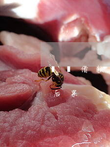 閃電借款不還扣信用卡(閃電借款不還有什么后果)