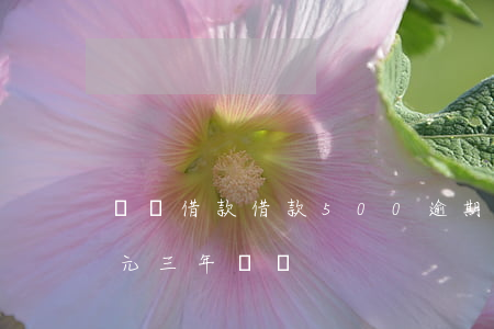 閃電借款借款500逾期(閃電借款1400元三年沒還)