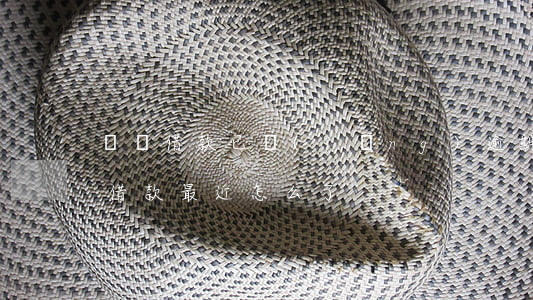 閃電借款已經(jīng)逾期2天了(閃電借款最近怎么了)