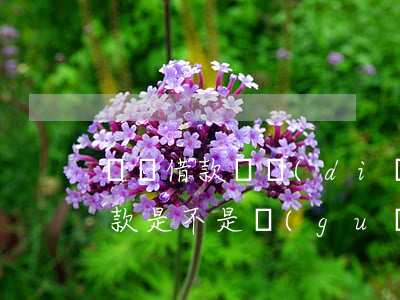 閃電借款幾點(diǎn)還不逾期(閃電借款是不是關(guān)閉了)
