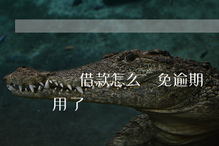 閃電借款怎么減免逾期費(閃電借款怎么不能用了)