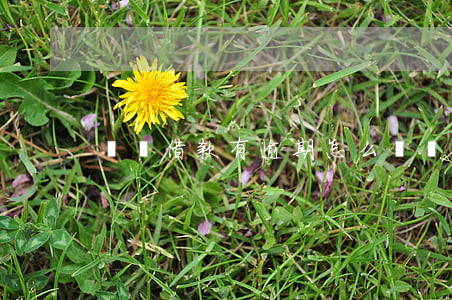 閃電借款有逾期怎么辦(閃電借款無法借款)