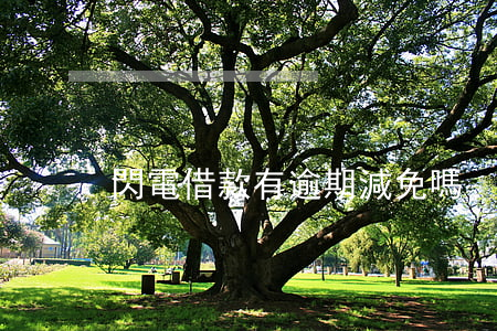 閃電借款有逾期減免嗎