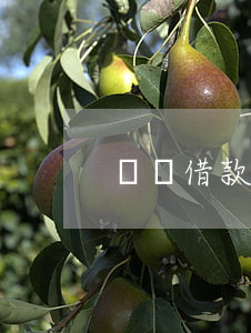 閃電借款欠1500(閃電借款欠多少被起訴)