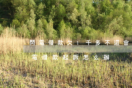 閃電借款欠1千多不還會(huì)起訴(閃電借款起訴怎么辦)