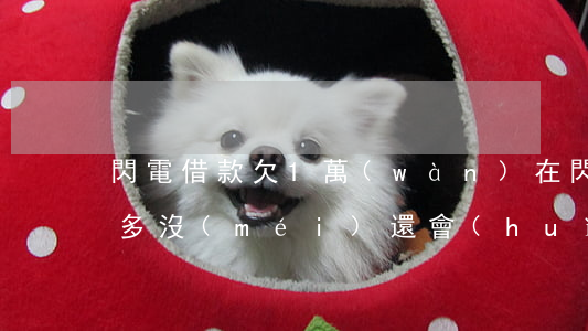 閃電借款欠1萬(wàn)(在閃電借款一千多沒(méi)還會(huì)怎么樣)