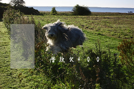 閃電借款欠400沒還(閃電借款怎么沒了)