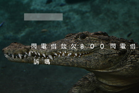 閃電借款欠800(閃電借款欠800會被起訴嗎)