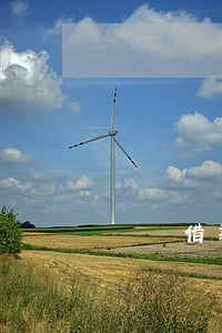 閃電借款欠兩千多今天上門找我(閃電貸上門)