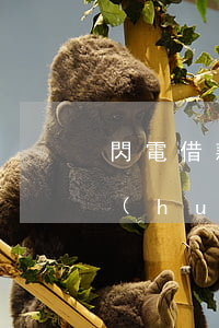 閃電借款欠多少錢上門(欠閃電借款幾千塊會(huì)被起訴嗎)