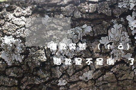 閃電借款突然發(fā)信息說我逾期兩年 閃電借款是不是倒閉了,我都逾期三天了