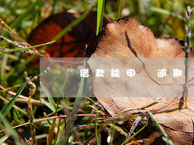 閃電借款能申請逾期嗎(閃電借款還有嗎)