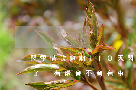 閃電借款逾期110天(閃電借款逾期一年多了沒有還會不會有事)