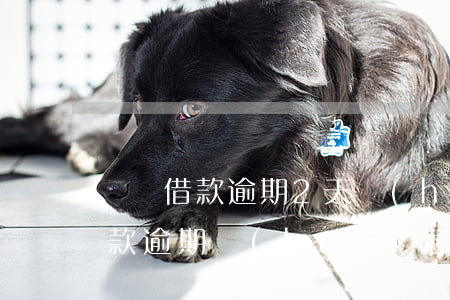閃電借款逾期2天會(huì)爆嗎(閃電借款逾期會(huì)怎么樣)