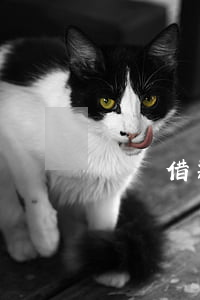 閃電借款逾期300天(閃電貸逾期2年了)
