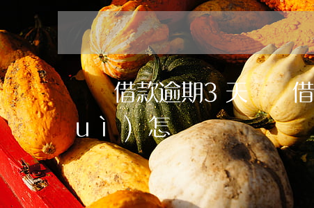 閃電借款逾期3天(閃電借款逾期3天會(huì)怎樣)