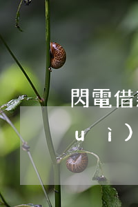 閃電借款逾期4多天(閃電貸逾期多久會(huì)上訴)