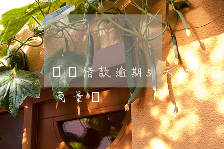 閃電借款逾期5天能借(閃電貸逾期一天可以商量嗎)