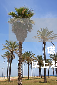 閃電借款逾期90天(招行閃電貸逾期90天以上起訴會(huì)怎么樣)