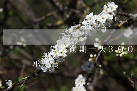 閃電借款逾期一天300(閃電貸還款晚了一小時)