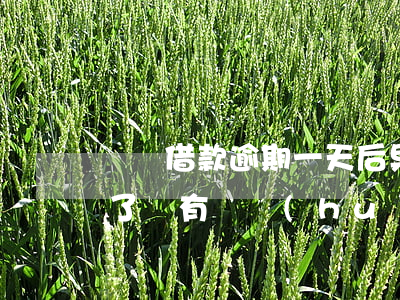 閃電借款逾期一天后果(閃電借款逾期一年多了沒有還會(huì)不會(huì)有事)