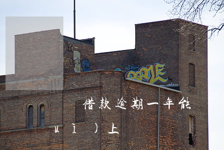 閃電借款逾期一年能(閃電貸逾期多久會(huì)上訴)