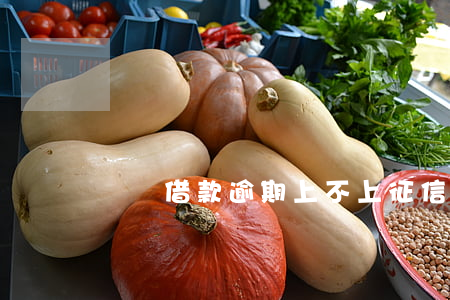 閃電借款逾期上不上征信(閃電貸上不上征信)