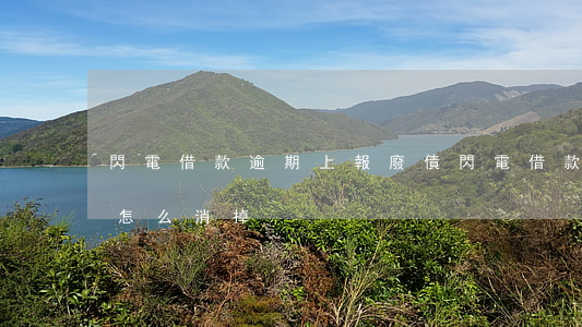閃電借款逾期上報廢債(閃電借款逃廢債名單怎么消掉)