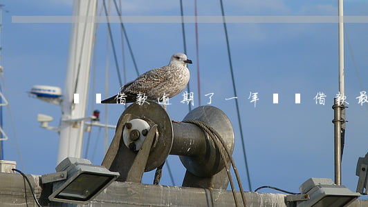 閃電借款逾期了一年(閃電借款最新消息)