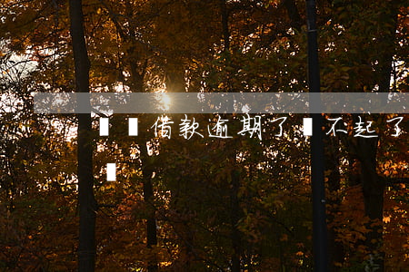 閃電借款逾期了還不起了(閃電貸還不起怎么辦)