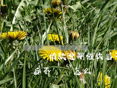 閃電借款逾期催收后不還(閃電借款逾期催收后不還會怎么樣)